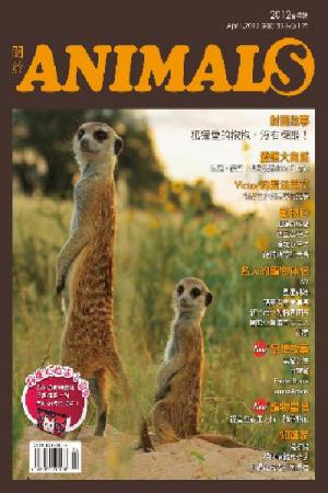 關於ANIMALS 春季號(PDF)