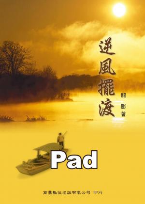 逆風擺渡[散文／文學](商鼎)