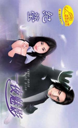 一夜魅影《一夜情挑 4》