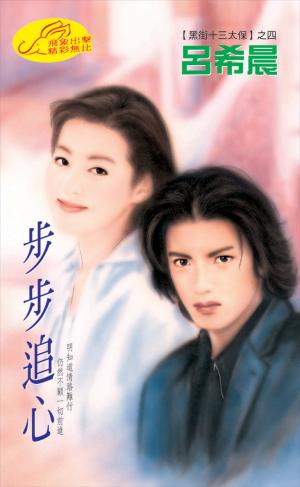步步追心《黑街十三太保 4》