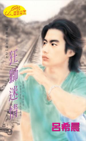 狂獅迷情《黑街十三太保 6》