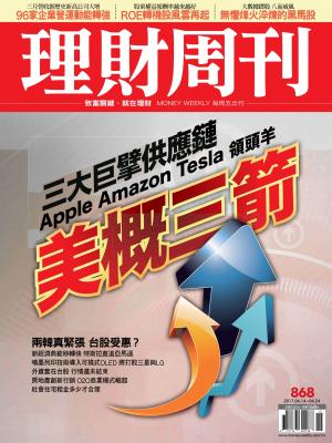 理財周刊868 : ROE轉機股風雲再起