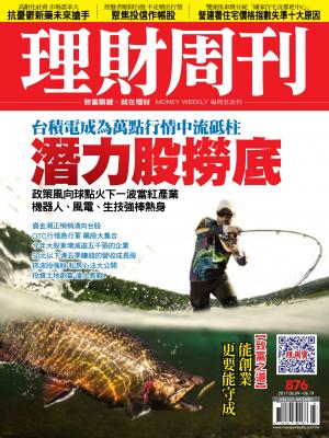 理財周刊876期:政策風向球 潛力股撈底