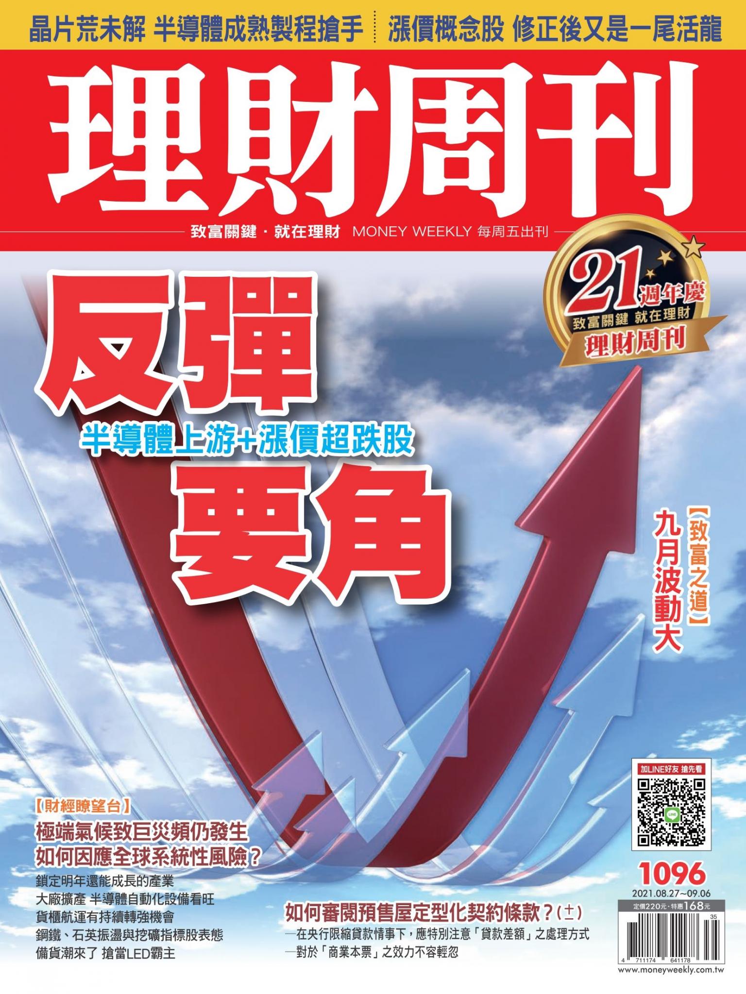 理財周刊1096期：反彈要角