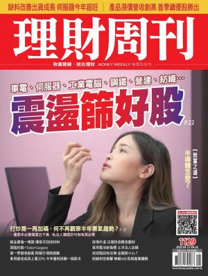 理財周刊1129期：震盪篩好股
