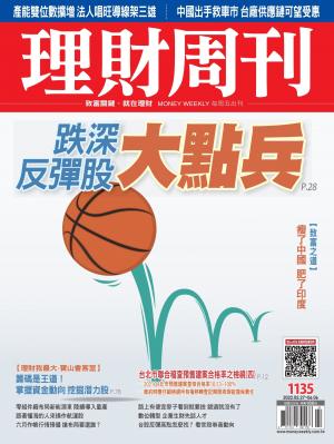 理財周刊1135期：跌深反彈股 大點兵