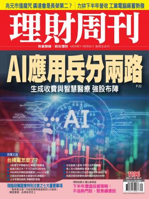 理財周刊2023/8月 第1196期
