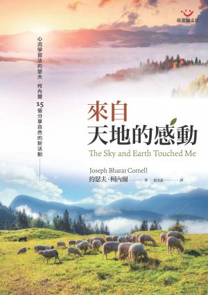 來自天地的感動