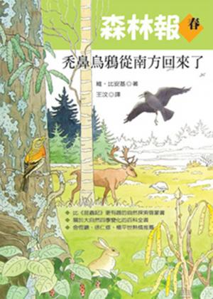森林報．春：禿鼻烏鴉從南方回來了