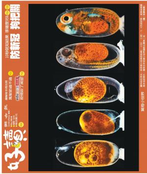 好讀周報 20201026