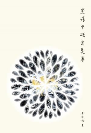 黑暗中活出美善